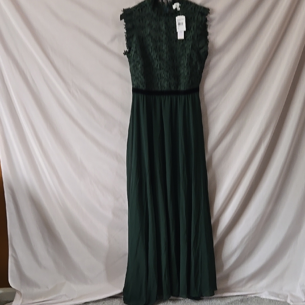 Lucy Paris Green Gown with Mock Neck and Sleeveless Design for Wedding Guest